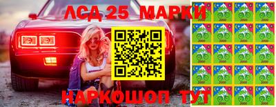 меф Гатчина