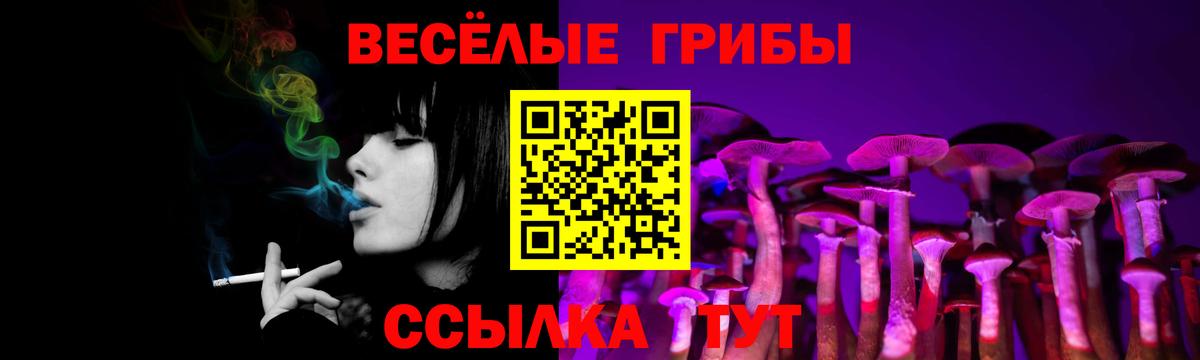 Сафоново  Псилоцибиновые грибы мицелий  Вход с VPN 